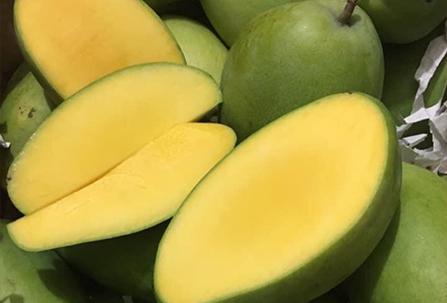 Xoài băm ăn chung cá, bạn nói phải lựa loại có vị chua. Như xoài cát thì phải còn xanh, không thì chọn xoài keo đủ độ tươi, giòn là ngon nhất.