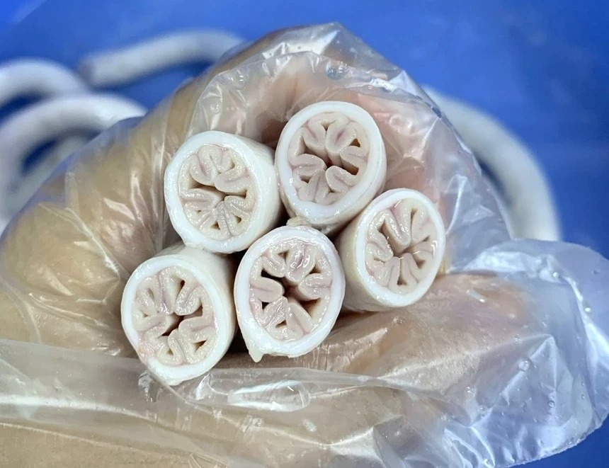 Thông tin về lòng xe điếu gây xôn xao dư luận - ảnh minh họa