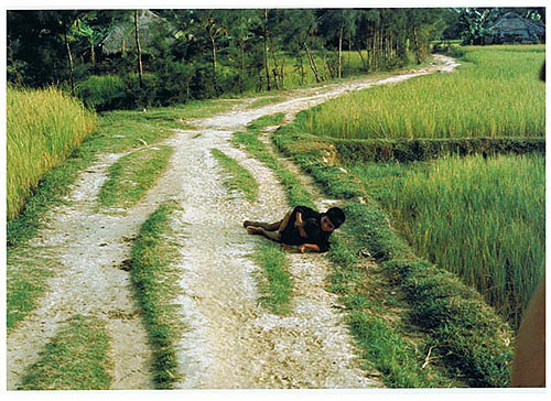 Bức ảnh 