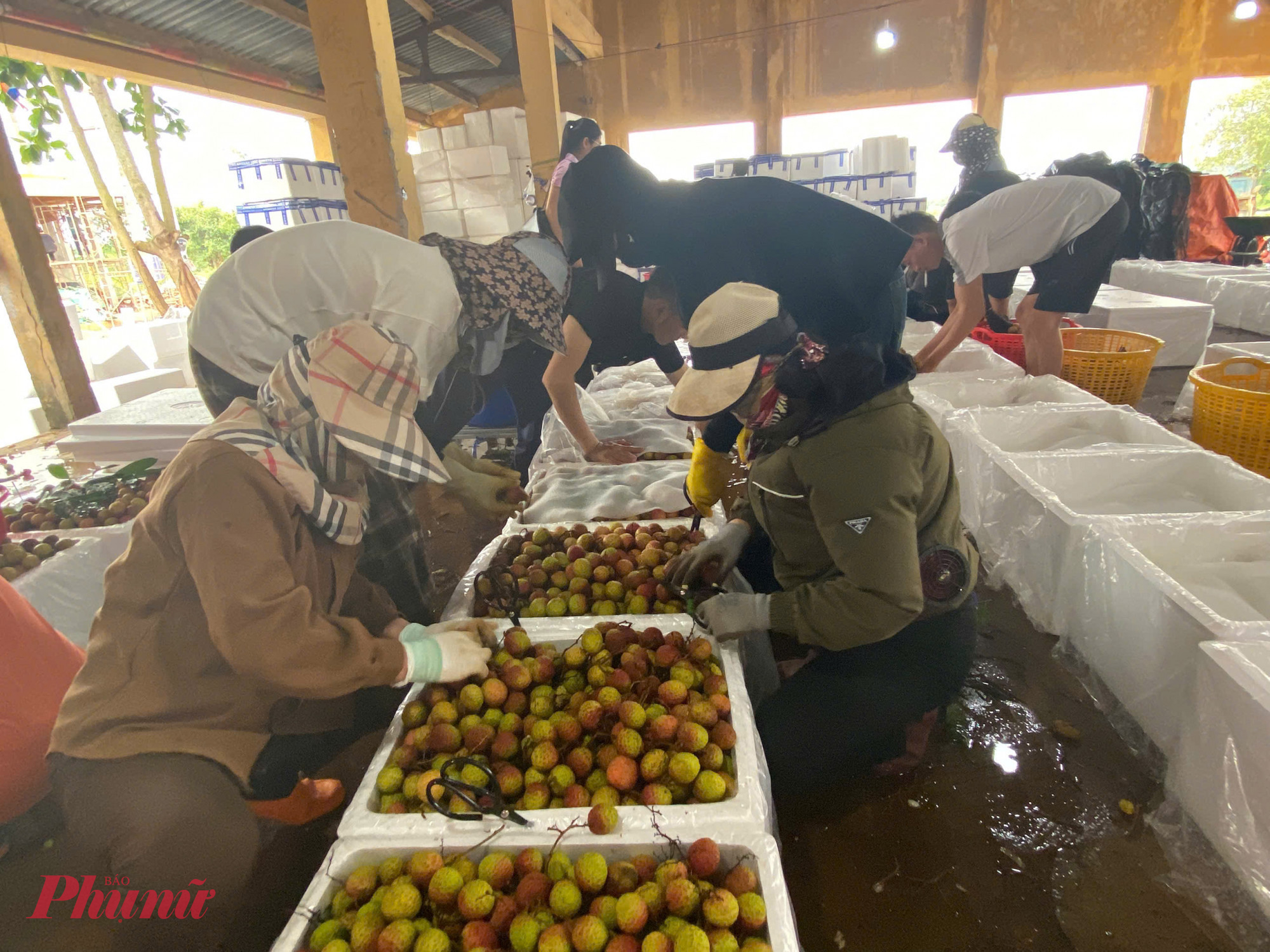  Không khí tại khu vực đóng gói trở nên khẩn trương và nhộn nhịp, mọi người đều làm việc với tốc độ nhanh chóng.