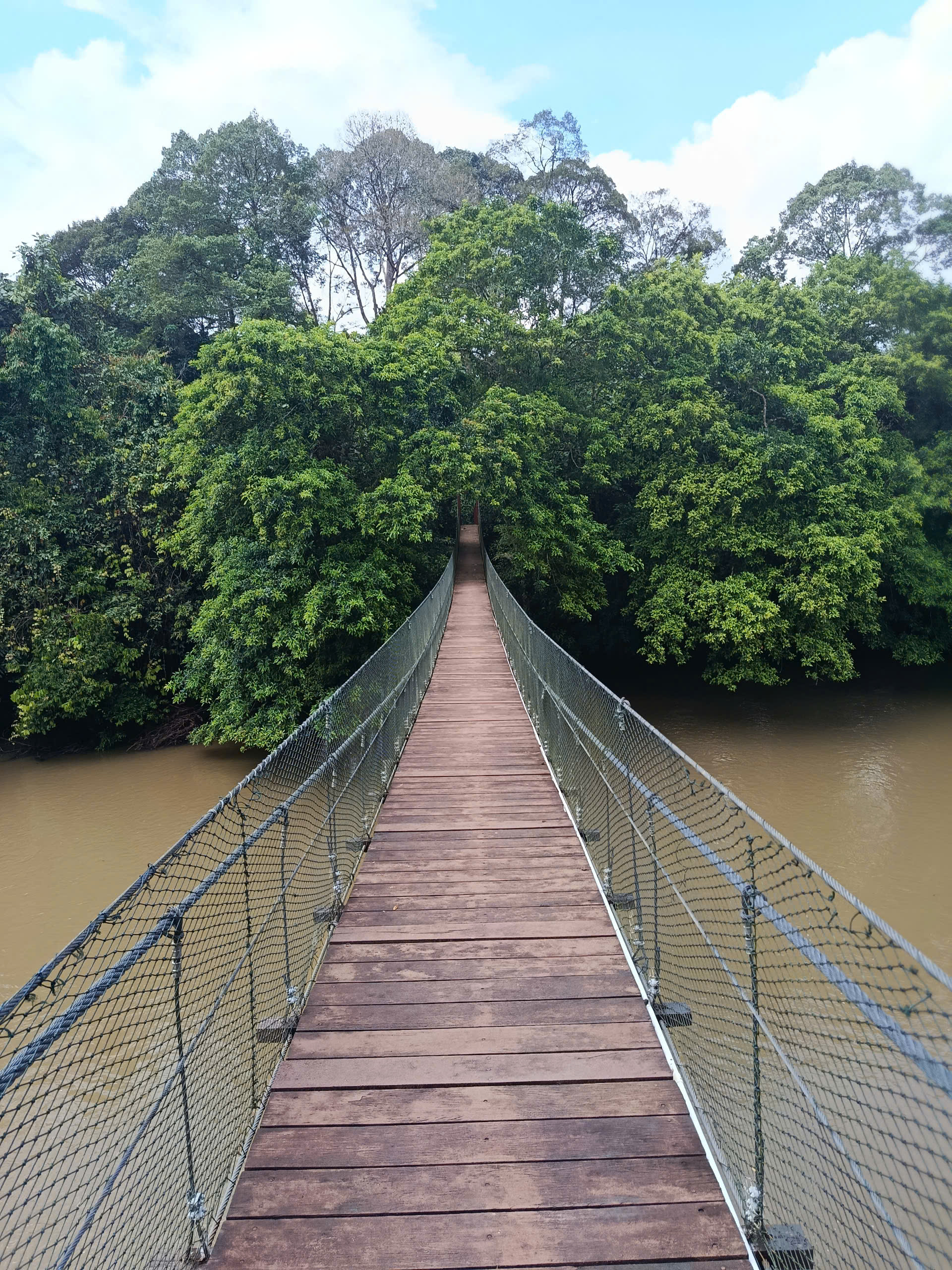 Nơi bắt đầu khám phá Vườn quốc gia Temburong. (ảnh: Trinh Huỳnh)