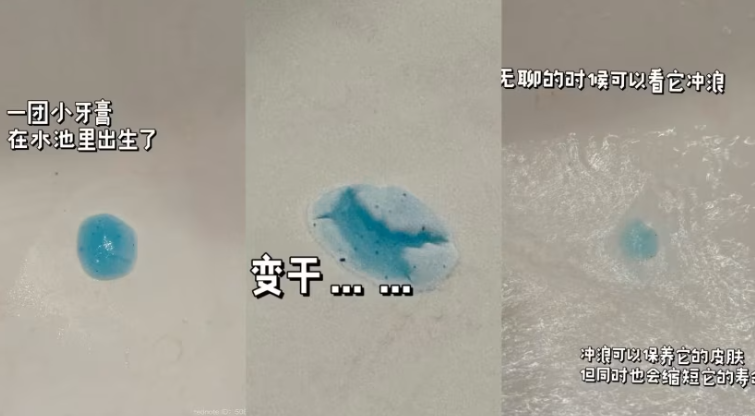  chia sẻ về cục kem đánh răng của thú cưng, video này đã lan truyền rất nhanh. (Ảnh: Xiaohongshu/Maolizi)
