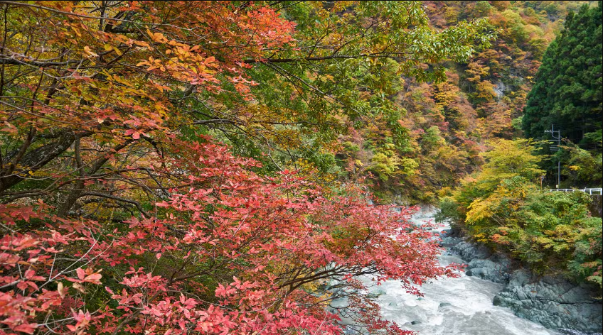 Ông Fujiwara Mahito đã tạo ra Nishiyama Onsen Keiunkan và đã được gia đình ông quản lý,  gìn giữ giá trị truyền thống qua 52 thế hệ. 