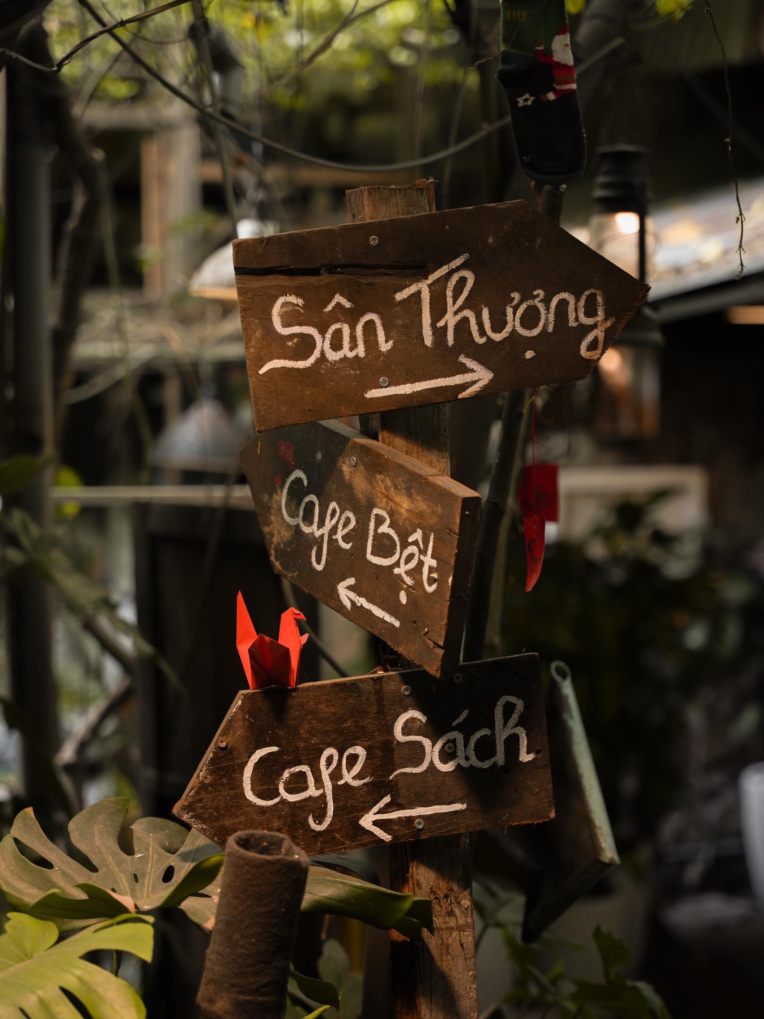 . Cú Trên Cây Coffee – 262 Ung Văn Khiêm, Bình Thạnh Cú Trên Cây Coffee mang đến trải nghiệm như lạc vào khu rừng nhỏ giữa lòng thành phố. Quán được thiết kế với nhiều cây xanh phủ bóng, đặc biệt khu sân thượng là nơi lý tưởng để tận hưởng không khí trong lành và yên tĩnh. Không gian bên trong mang phong cách bụi bặm nhưng vẫn rất ấm cúng. Thực đơn gồm cà phê pha máy, trà thảo mộc, nước ép và bánh ngọt tự làm. Món cà phê đen và trà sen là những lựa chọn được nhiều thực khách yêu thích. Giá cả dao động từ 40.000 đến 80.000 đồng, phù hợp với những ai muốn tìm một nơi vừa xanh vừa yên tĩnh để thư giãn.
