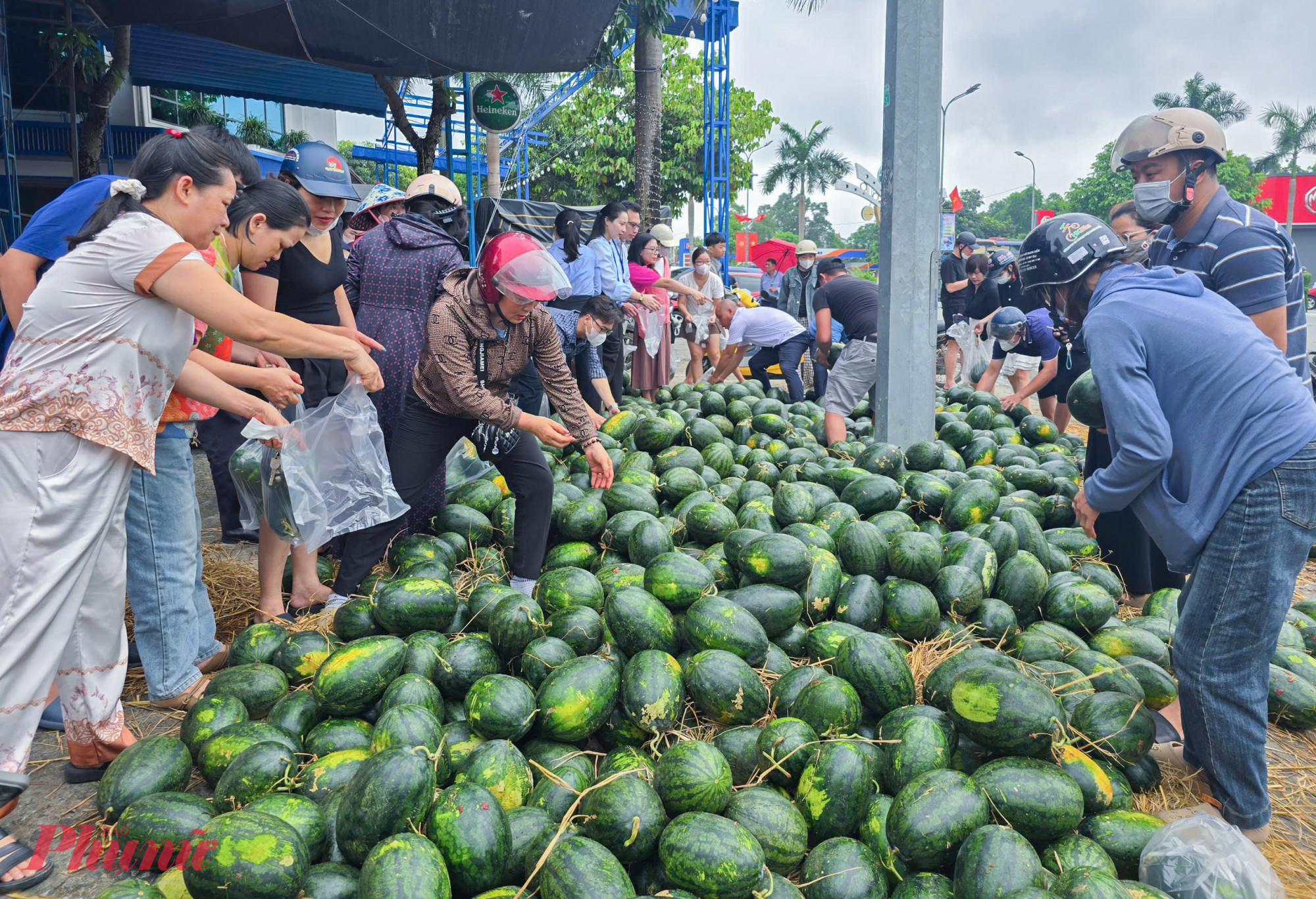 Sau khi tai nạn xảy ra, người dân xung quanh khu vực này và người đi đường đã hỗ trợ tài xế thu gom dưa hấu, vận chuyển vào tập kết trên vỉa hè rồi kêu gọi nhau cùng giải cứu.