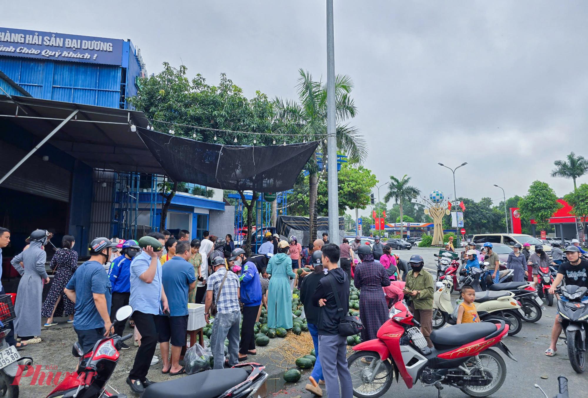 Các nạn nhân được đưa tới Bệnh viện Đa khoa 115 Nghệ An cấp cứu. Thông tin từ lãnh đạo khoa Cấp cứu cho biết, 3 nạn nhân là người trong một gia đình. Trong đó người chồng là N.V.D (40 tuổi, trú tỉnh Thanh Hóa) bị thương rất nặng, người vợ và con may mắn chỉ bị thương nhẹ.