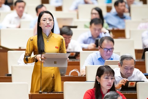 ĐBQH Trần Khánh Thu băn khoăn quy định người nổi tiếng phải có trách nhiệm kiểm tra tài liệu