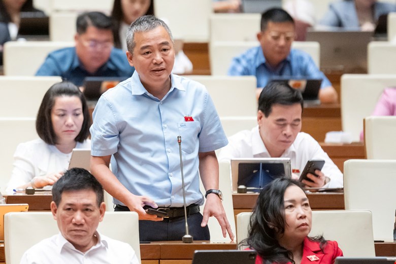 ĐBQH Nguyễn Lân Hiếu 