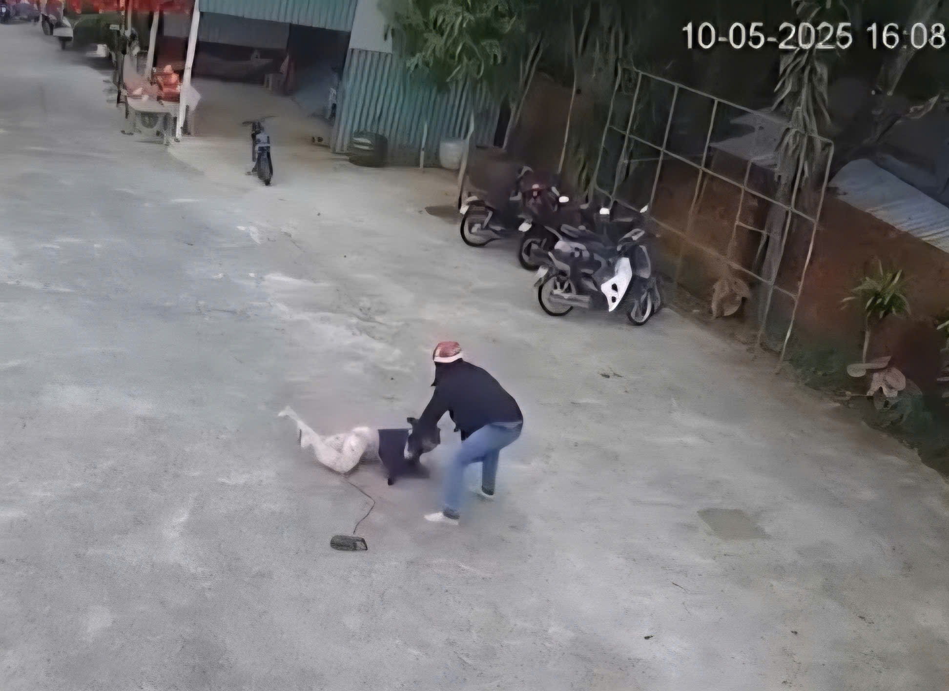 Hòa dùng kích điện chích vào một người phụ nữ - Ảnh Cắt từ clip