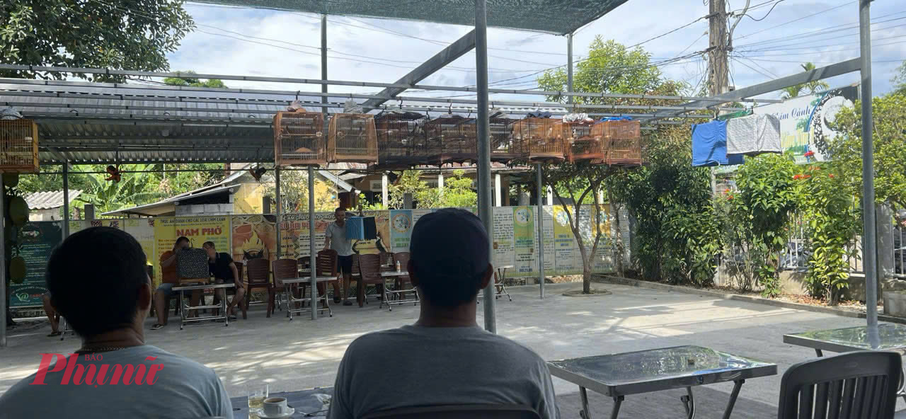 Kiểm lâm Huế yêu cầu Lực lượng kiểm lâm ở Huế đề nghị các chủ quán khi khách đến uống cà phê mang theo chim yêu cầu phải có hồ sơ chứng minh nguồn gốc hợp pháp