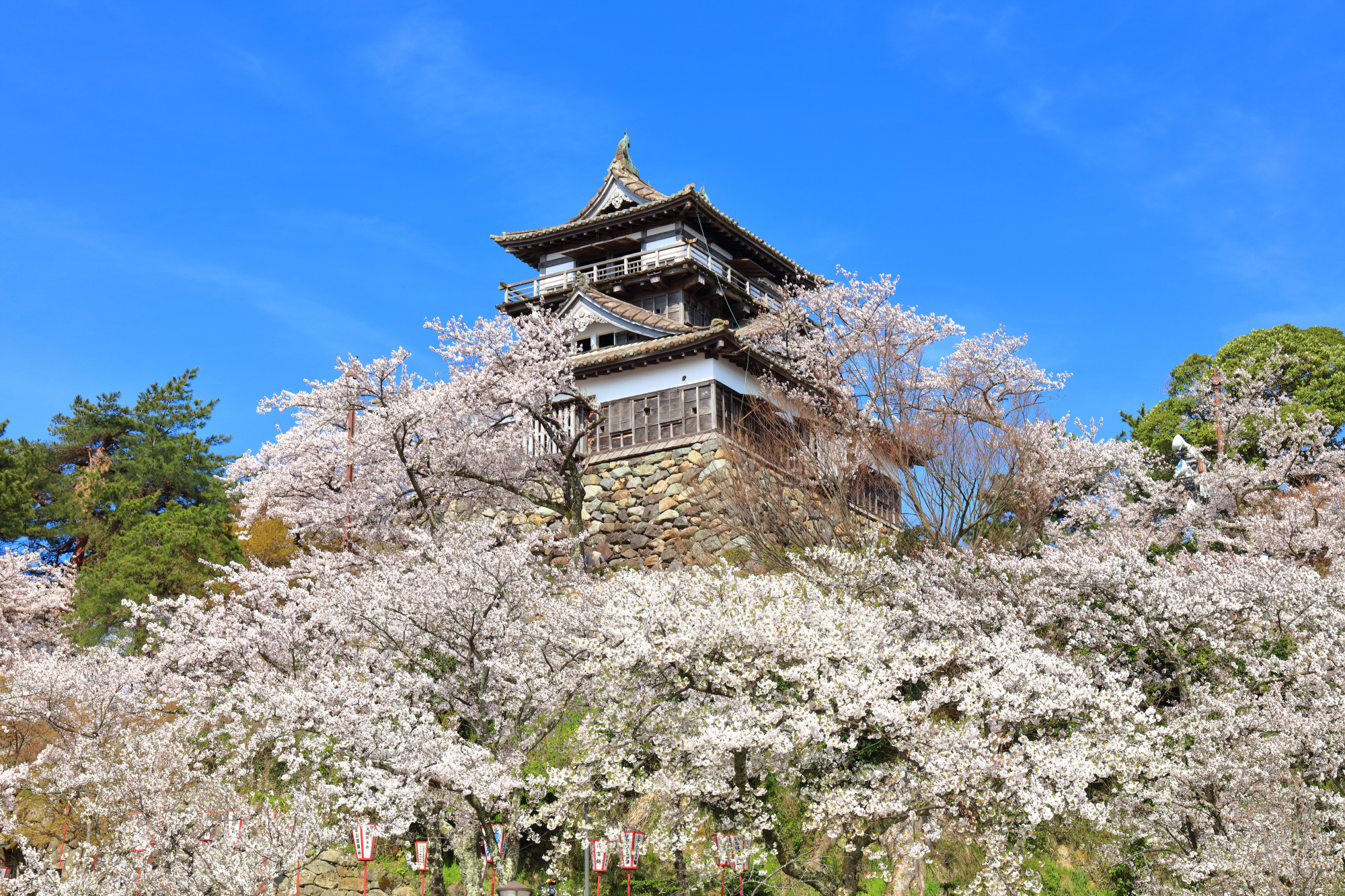 Khi đến đây, bạn có thể tản bộ dưới hàng cây sakura, khám phá đài quan sát, hay ghé thăm bảo tàng nhỏ trưng bày các hiện vật lịch sử từ thời phong kiến.