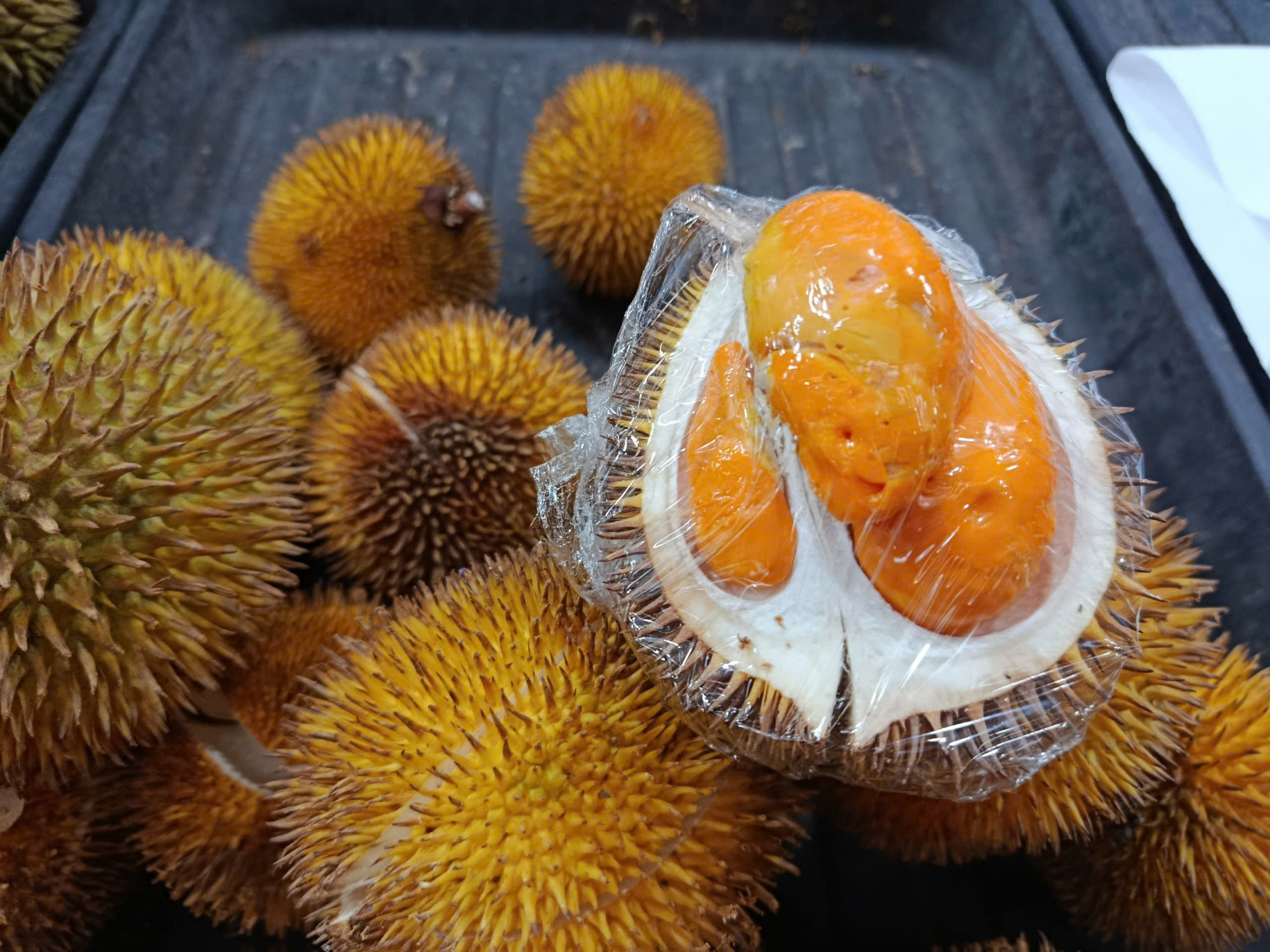 Loại sầu riêng đặc trưng ở Brunei. Ảnh: Trinh Huỳnh.