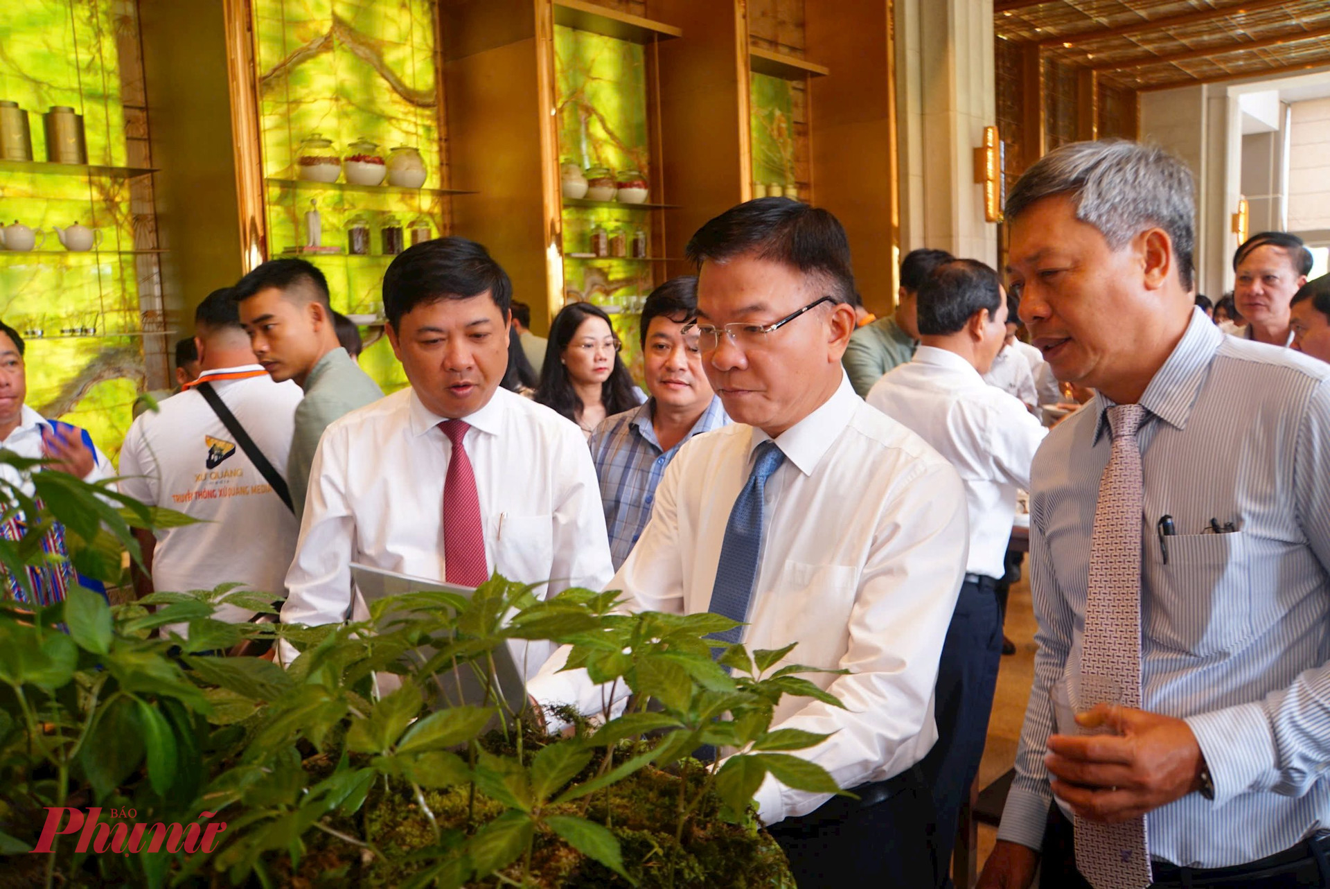 Phó thủ tướng Chính phủ Lê Thành Long tham quan khu trưng bày sản phẩm Sâm Ngọc Linh và dược liệu tại hội nghị công bố đề án “Phát triển và hình thành trung tâm công nghiệp dược liệu tỉnh Quảng Nam với Sâm Ngọc Linh là cây chủ lực” vào tháng 5/2025 tại Quảng Nam.