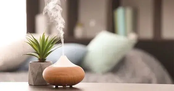Tinh dầu xông phòng mùi nào thơm nhất?