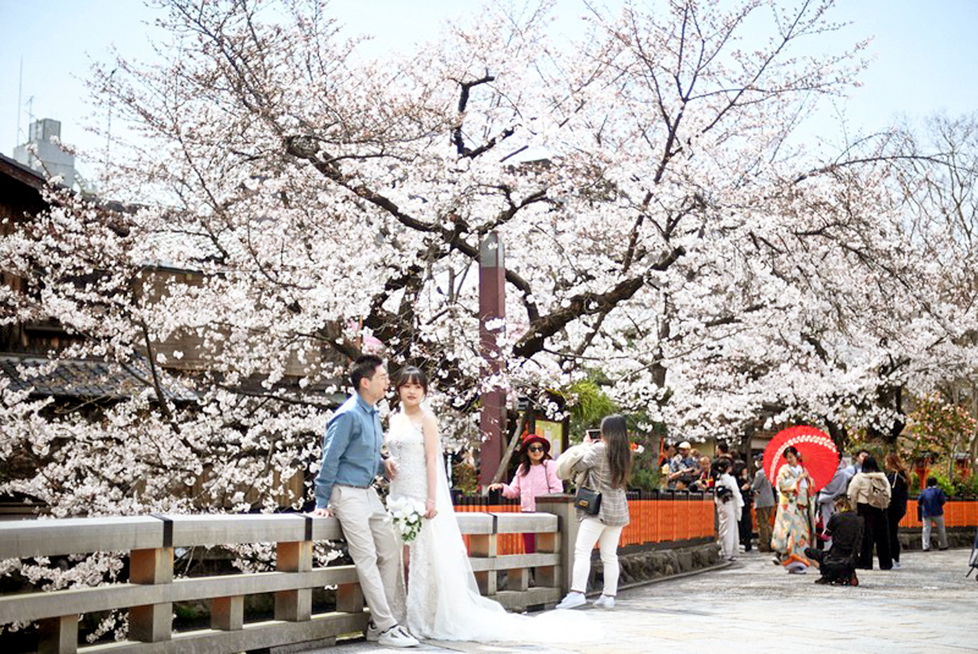 Du khách nước ngoài chụp ảnh với hoa anh đào tại quận Higashiyama của Kyoto, Nhật Bản vào ngày 5/4/2025 - ẢNH: KENJIRO SATO (Mainichi)