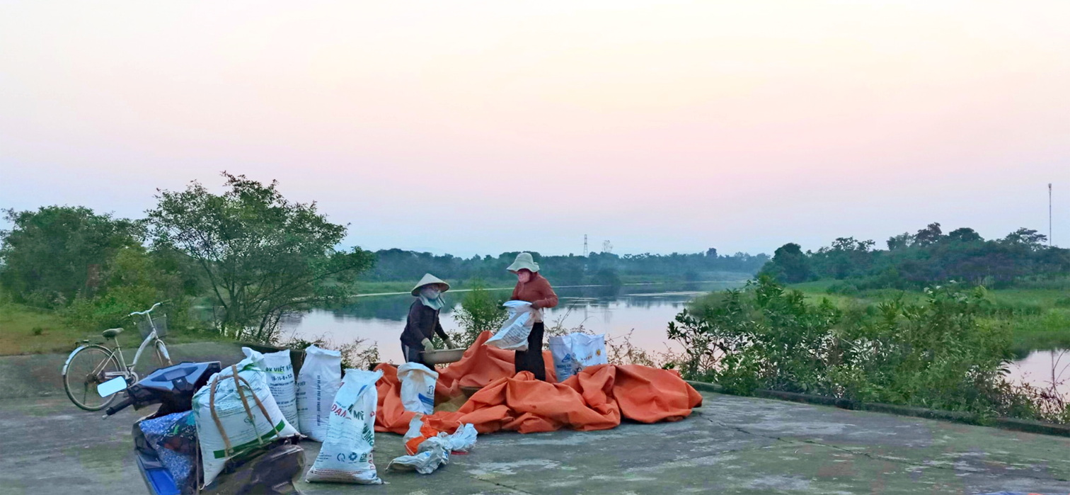 Bờ kè bê tông bên sông là sân phơi lý tưởng trong những ngày mùa ở quê tôi