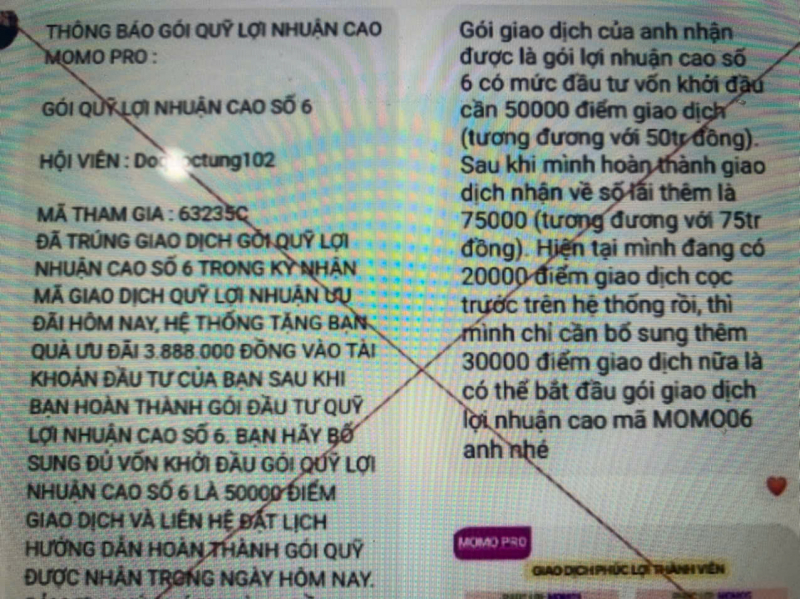 Tin nhắn mời chào tham gia quỹ đầu tư MoMo Pro- Ảnh: Nạn nhân cung cấp