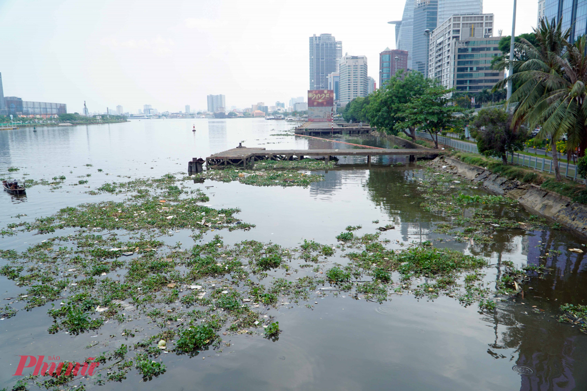 Lục bình, rác ở trên Sông Sài Gòn 