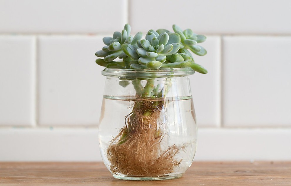 Ảnh: Houzz