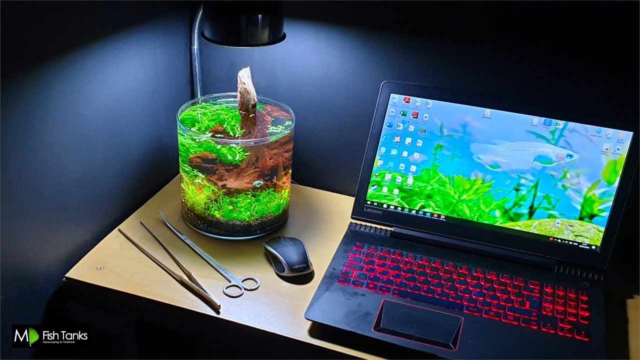 2. Hồ cá mini – Một thế giới sống động trong tầm mắt Không cần quá cầu kỳ, một hồ cá nhỏ với vài chú cá vàng, cá bảy màu bơi lội dưới lớp bèo tây, lục bình mini… cũng đủ khiến bạn “giải nhiệt” ngay khi vừa bước chân vào nhà. Ngoài tác dụng làm mát, hồ cá còn mang yếu tố “thủy” trong phong thủy, biểu trưng cho sự hanh thông, tài lộc.  Màu sắc: xanh dương, xanh lá, kết hợp sắc cam, vàng từ cá.  Vị trí gợi ý: góc ban công, cạnh cửa sổ phòng khách hoặc lối ra vào.  Chi phí: khoảng 600.000 – 2.000.000 đồng cho combo hồ kính, cá cảnh, bộ lọc và cây thủy sinh.