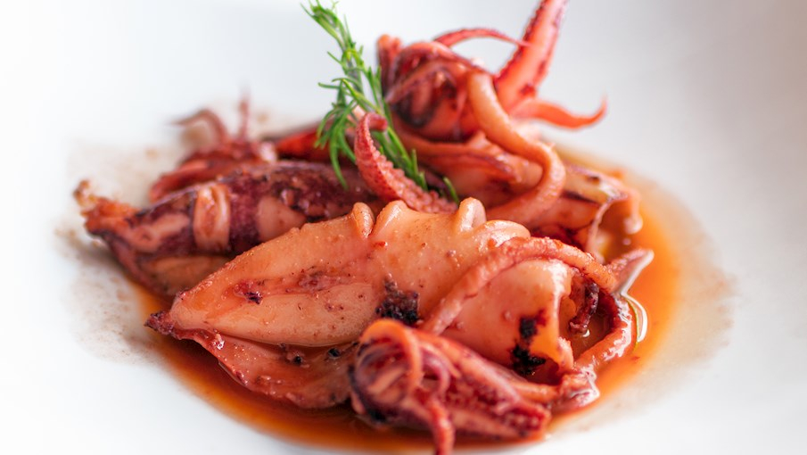 Seppie in umido (Mực hầm xốt) - Venice, Ý Món này gồm mực cắt lát lát, hành tây, tỏi, cà chua, nước xốt cà chua, gia vị như quế, gừng, nhục đậu khấu, hương thảo cùng dầu ô liu, muối và tiêu. Hành và tỏi được xào mềm rồi trộn với mực và hương thảo. Sau đó ninh với nước, cà chua và gia vị cho đến khi xốt sánh lại và mực mềm. Món thường ăn kèm với polenta.món ăn truyền thống của Ý làm từ bột ngô (bột ngô vàng) được nấu chín trong nước hoặc nước dùng đến khi sánh đặc, mịn và dẻo