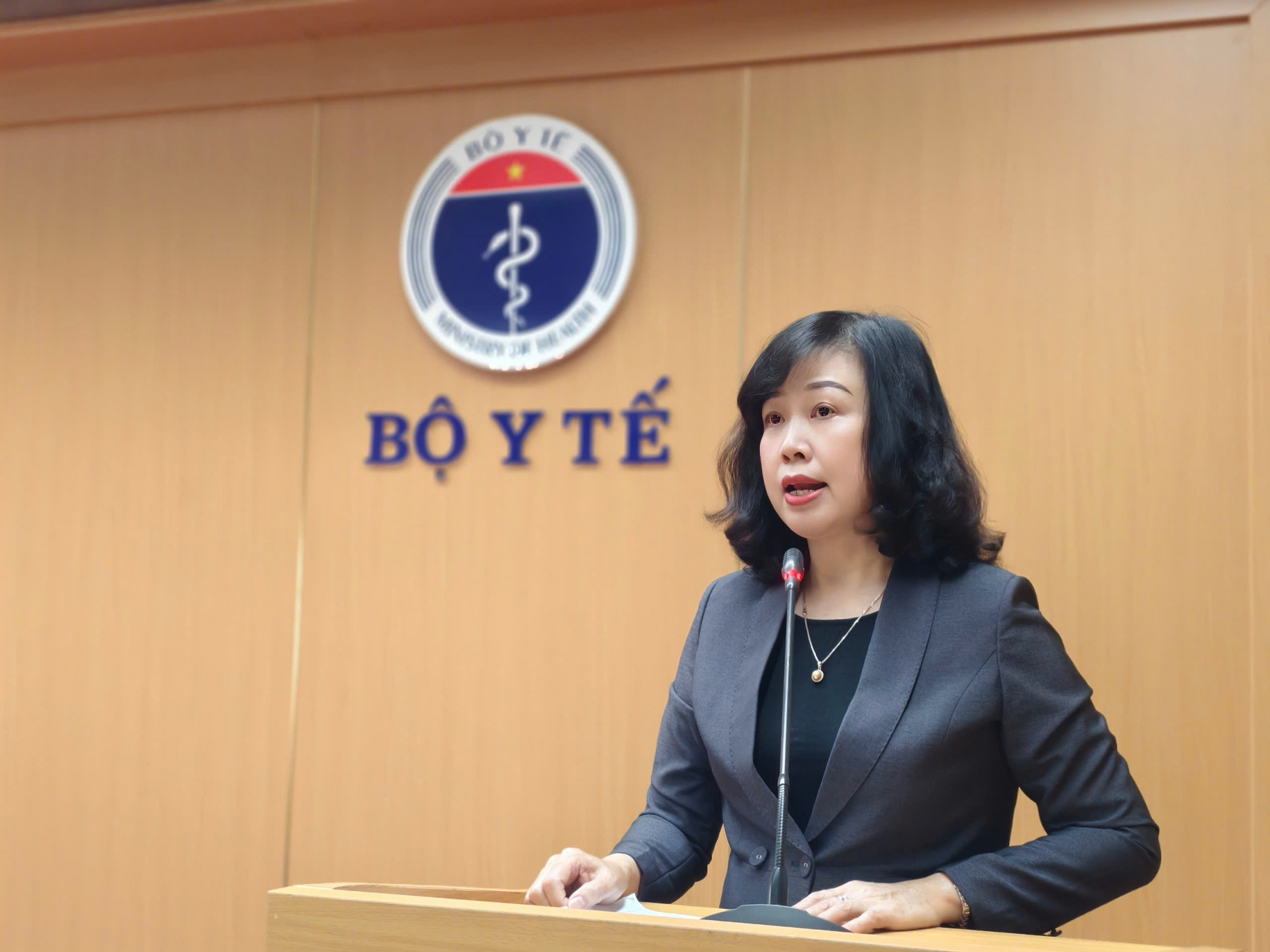 Bộ trưởng Bộ Y tế Đào Hồng Lan - ảnh: T. Dũng