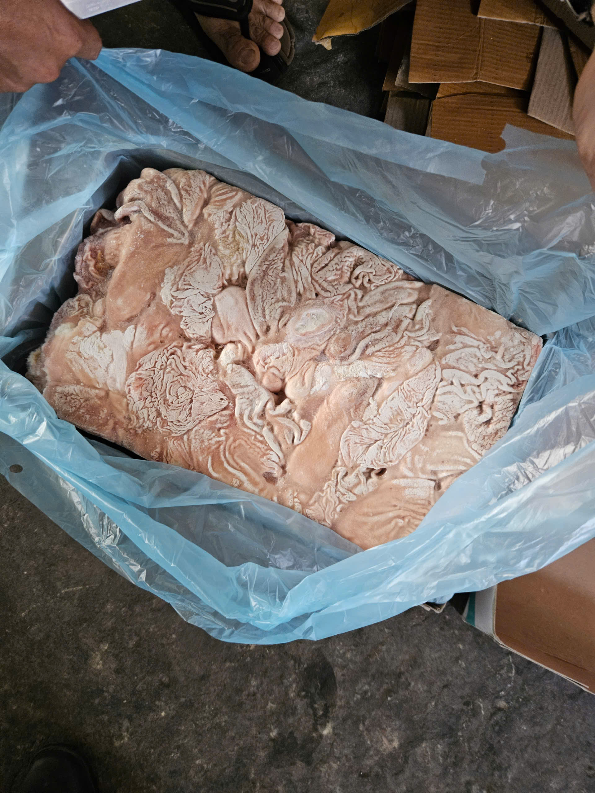 Bao tử đông lạnh bị thu giữ - Ảnh: Cục Quản lý và Phát triển thị trường trong nước