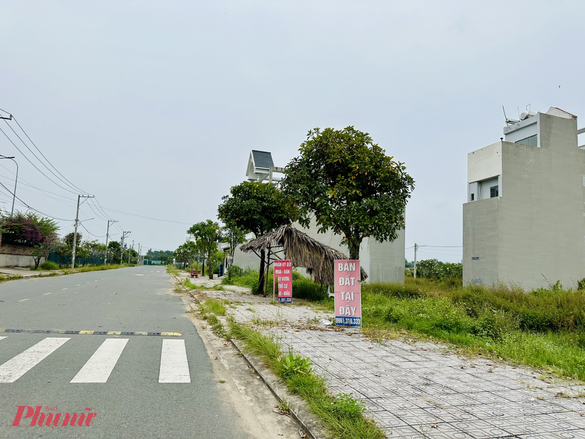 Sau cơn sốt sáp nhấ
