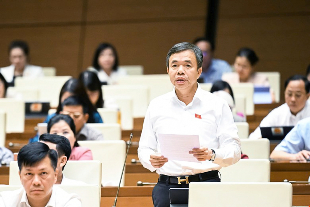 Đại biểu Quốc hội Nguyễn Tiến Nam 