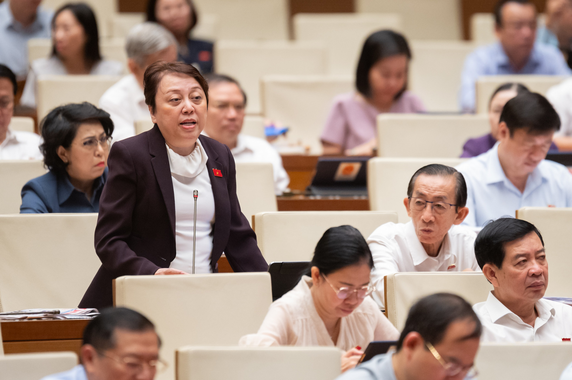 ĐBQH Phạm Khánh Phong Lan - ảnh: Media Quốc hội