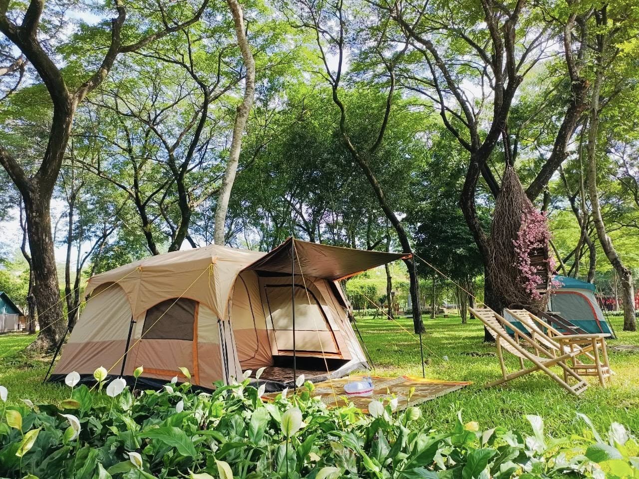 Bạn có thể chọn đi về trong ngày để tiết kiệm thời gian, hoặc nghỉ lại một đêm nếu muốn tận hưởng trọn vẹn không khí thiên nhiên và có thêm thời gian vui chơi cùng con. Chi phí ước tính: khoảng 1.500.000–2.000.000 đồng cho gia đình 4 người, bao gồm vé vào cổng, thuê chòi nghỉ và bữa ăn đơn giản tại khu du lịch.