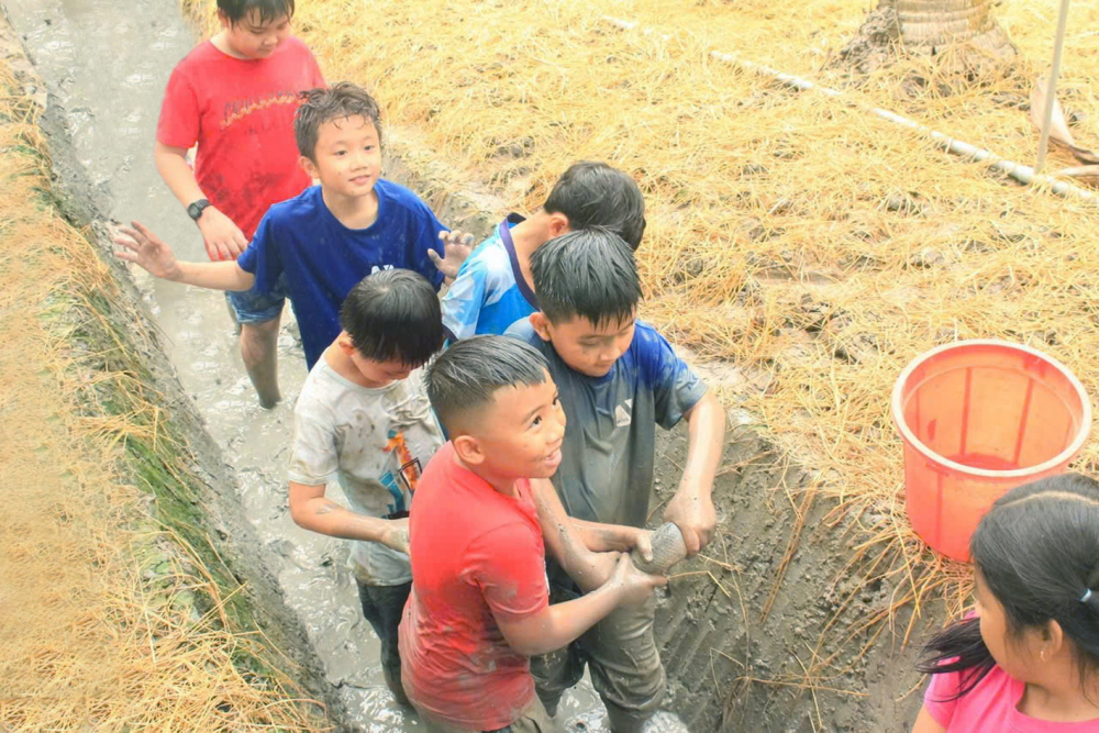 Cho con mùa hè bổ ích: Đa dạng hoạt động cho trẻ vui hè Mùa hè lấm lem, rộn vui với các hoạt động tát mương bắt cá... cùng các bạn - Nguồn ảnh: Ý Tưởng Việt