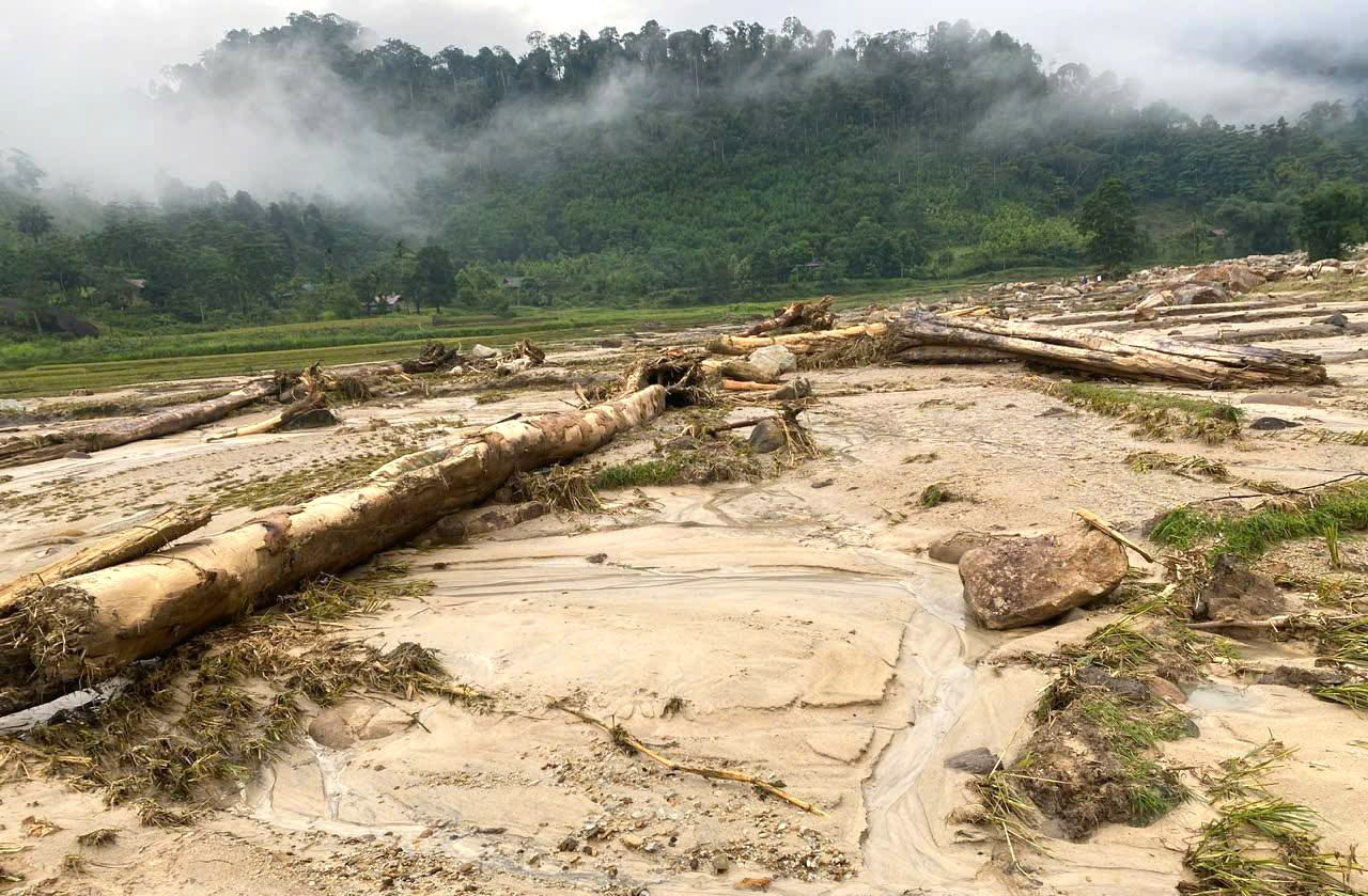 Nhiều cây gỗ lớn bị dòng nước lũ cuốn trôi xuống khe suối - Ảnh: Thanh Long