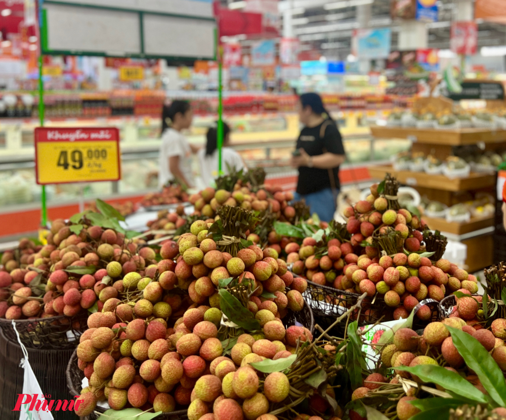 Không chỉ phục vụ thị trường nội địa, vải thiều Lục Ngạn, Bắc Giang xuất khẩu đi hơn 30 nước. Ảnh: Quốc Thái