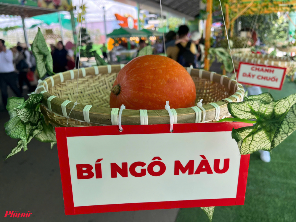Không gian trái cây độc lạ, khổng lồ thu hút khách tham quan, chụp ảnh.