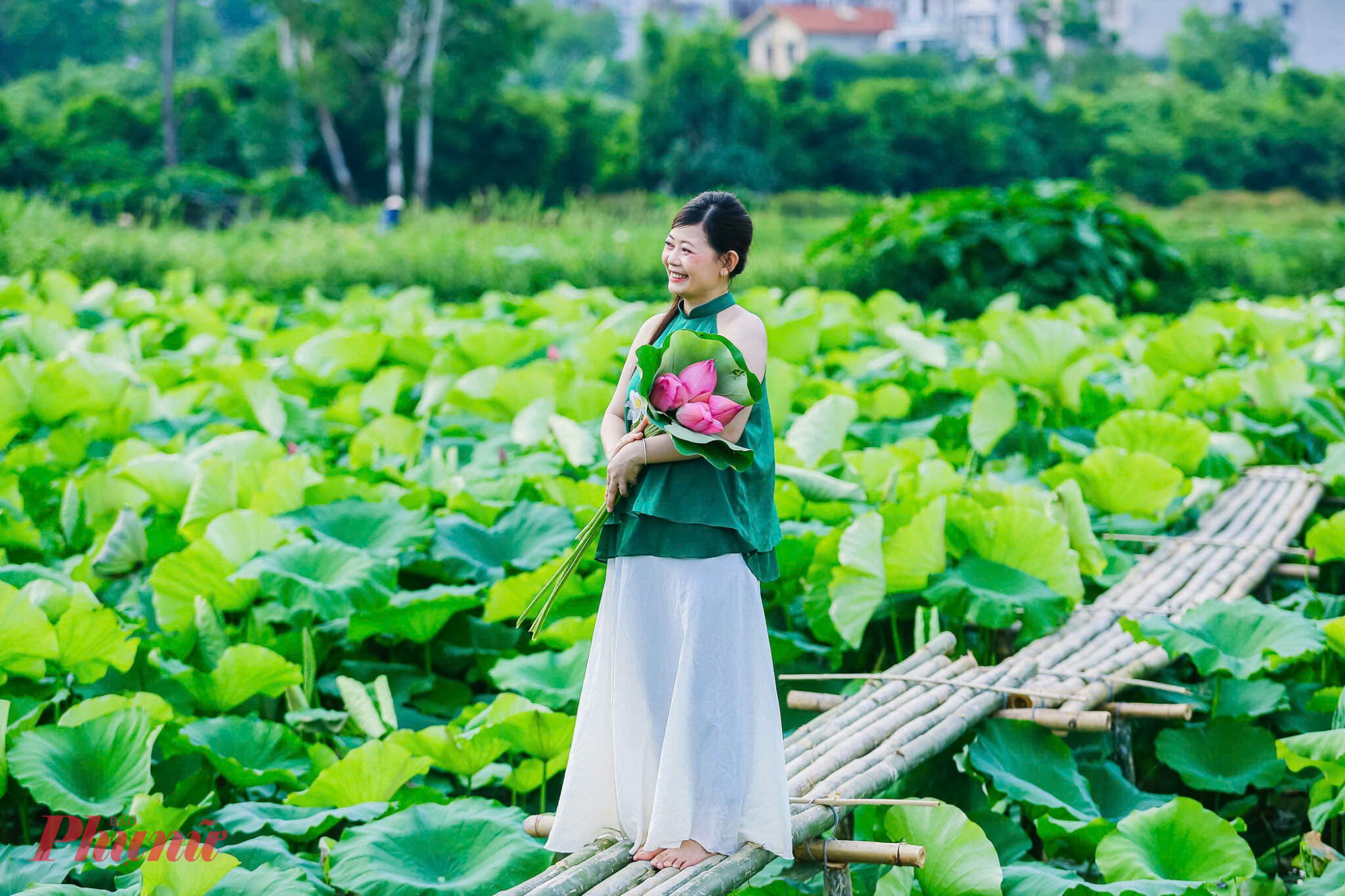 Được biết, giá vé tham quan, chụp ảnh tại đầm dao động khoảng 50.000 – 100.000 đồng/lượ