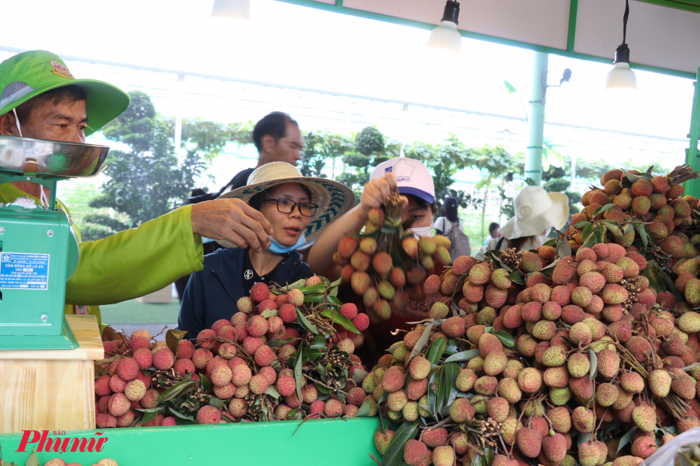 Theo Ban Tổ chức, Suối Tiên Farm Festival 2025 là một trong những hoạt động trọng điểm trong mùa du lịch hè của TP.HCM, hướng đến xây dựng thương hiệu lễ hội mang tầm khu vực. Chương trình kỳ vọng trở thành cầu nối hiệu quả giữa nhà vườn, doanh nghiệp, người tiêu dùng và du khách quốc tế thông qua chuỗi hội chợ, phiên chợ giao thương, livestream bán hàng trên nền tảng số và hoạt động kết nối du lịch nông nghiệp – văn hóa – công nghệ.
