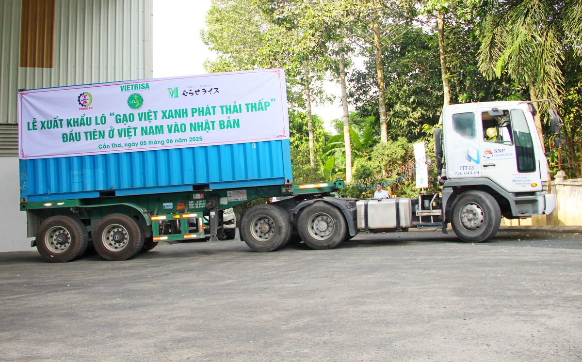 Giá xuất khẩu tại kho nhà máy của lô gạo Việt xanh là 820 USD/tấn; trong khi đó nếu xuất khẩu gạo thông thường chỉ đạt mức giá bán từ 650 – 700 USD/tấn - Ảnh: CTV