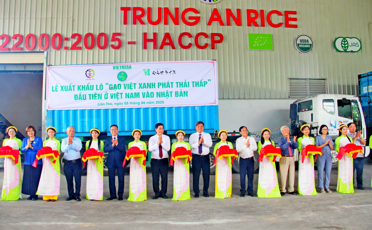 lễ xuất khẩu lô hàng 500 tấn Gạo Việt xanh phát thải thấp đầu tiên 