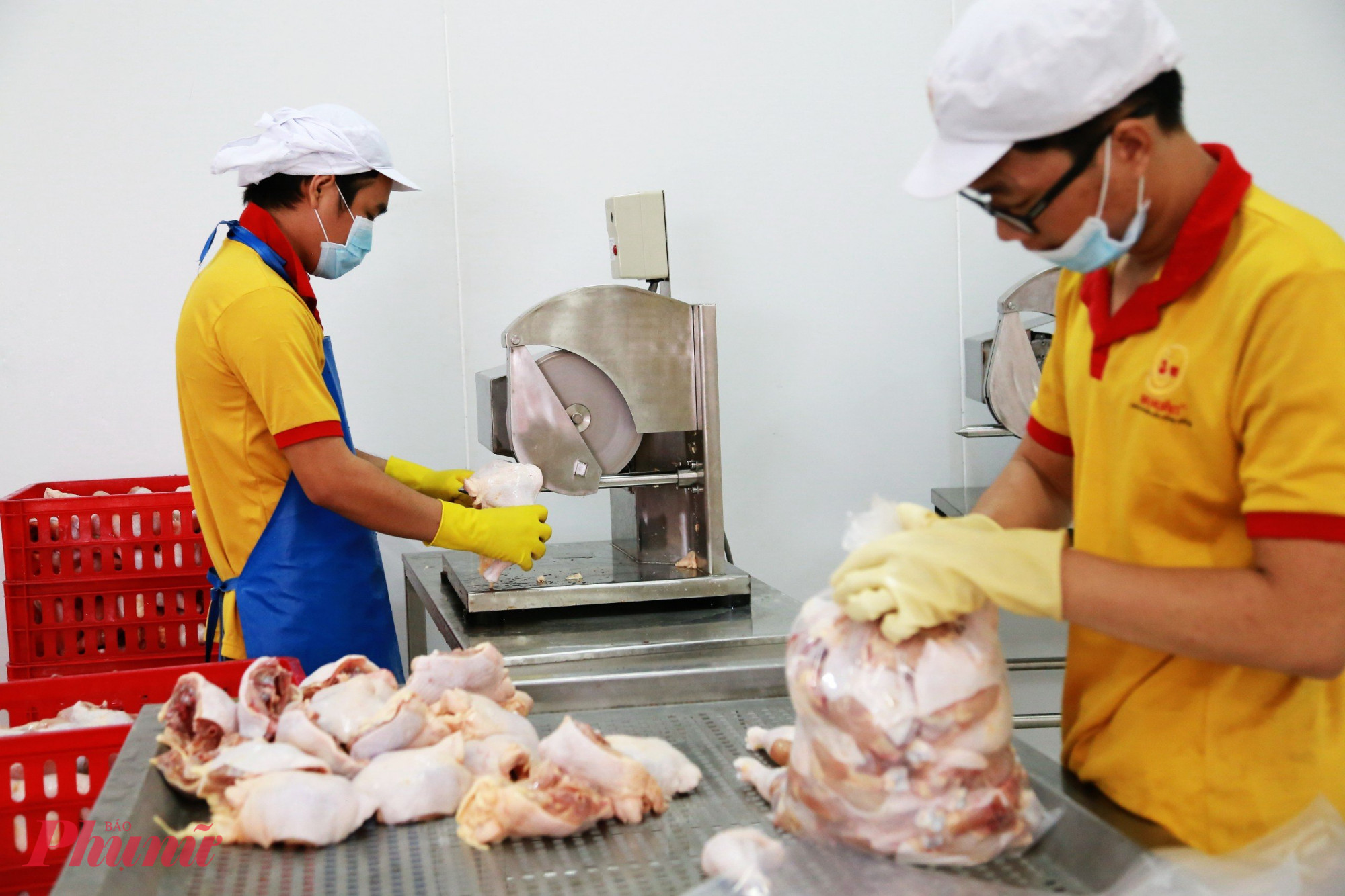 Nhiều doanh nghiệp thực phẩm đang gặp nhiều khó khăn do quy định thay đổi liên tục - Ảnh: Thanh Hoa