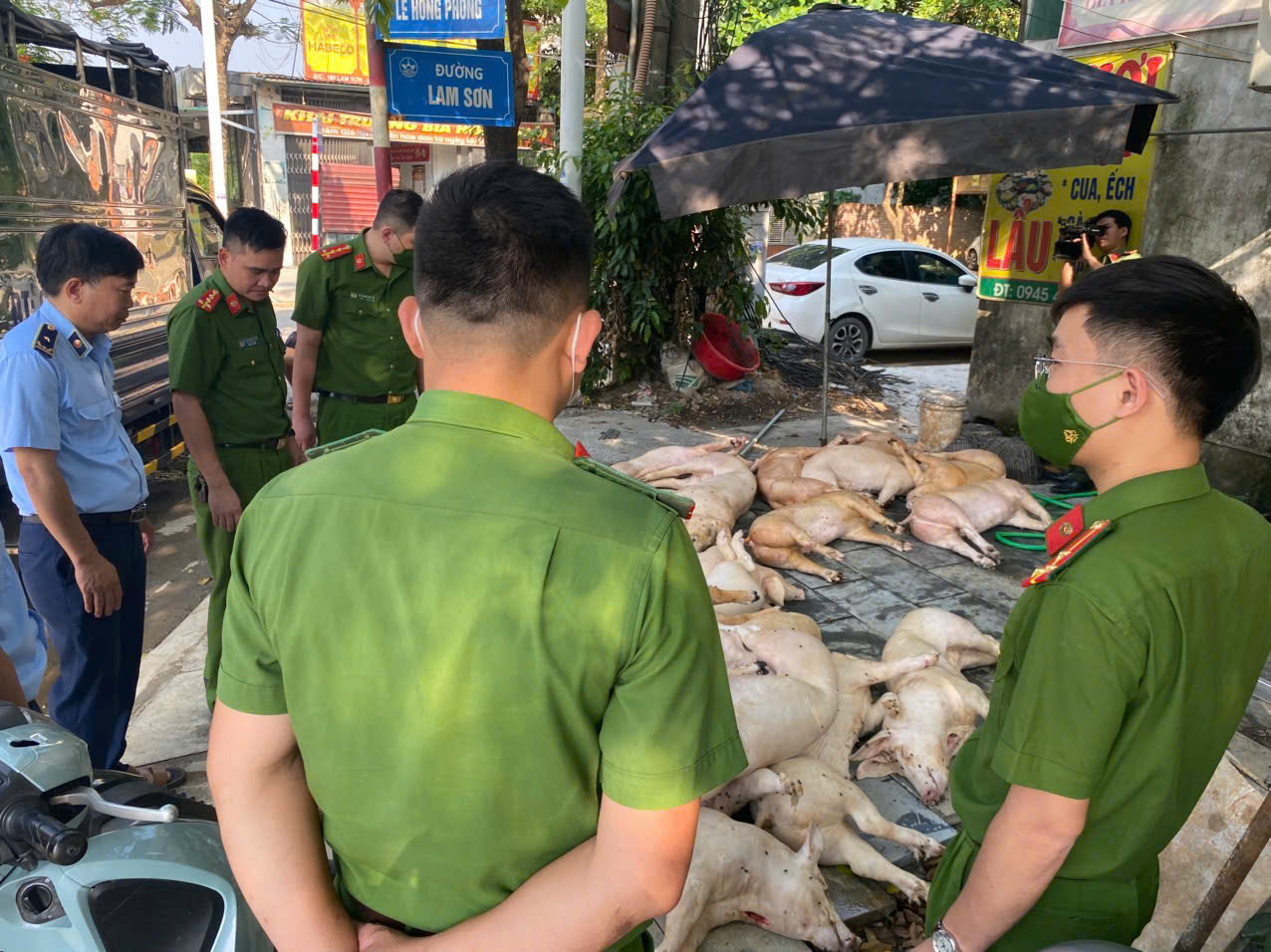 Thịt lợn không rõ nguồn gốc bị phát hiện tại một hộ kinh doanh ở Đắk Lắk vào ngày 2/6 - Ảnh: Cục Quản lý và Phát triển thị trường trong nước
