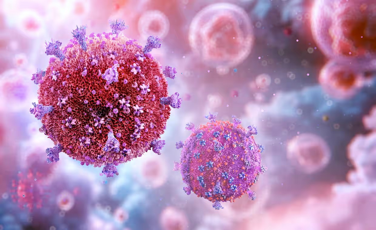 Hình minh họa về các hạt virus HIV với khả năng ẩn náu bên trong một số tế bào bạch cầu nhất định - Ảnh: Ruslanas Baranauskas/Science Photo Library/Getty Images