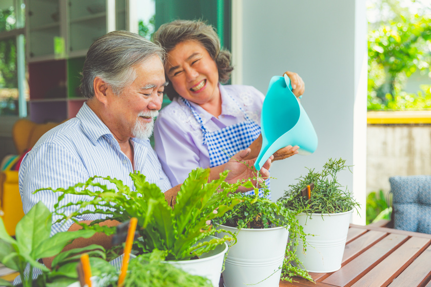 Niềm vui cùng nhau chăm sóc cây cảnh lúc rảnh rỗi (ảnh minh họa)