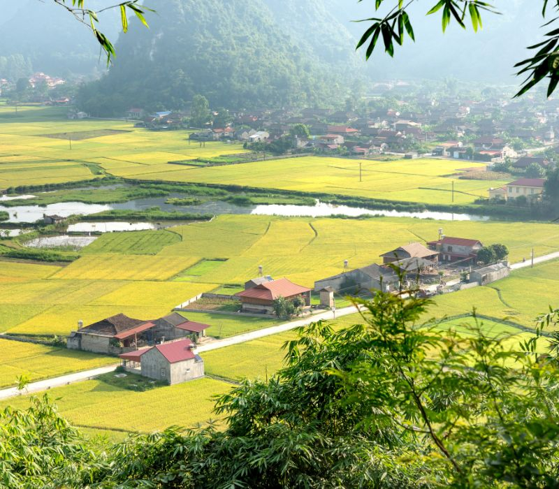 Thời điểm này ở Bắc Sơn (huyện Bắc Sơn, phía Tây tỉnh Lạng Sơn) là thời điểm đẹp nhất để trốn cái nóng mùa hè, ngắm ruộng lúa chín xen lẫn núi đá vôi, tạo nên một khung cảnh hùng vĩ mà nên thơ. Leo lên đỉnh Nà Lay vào sáng sớm, bạn sẽ thấy toàn cảnh thung lũng vàng ươm dưới lớp sương mờ, một bức tranh có thật chứ không phải trong tranh vẽ. Điều đặc biệt là nơi đây vẫn giữ lối canh tác truyền thống, ít bị ảnh hưởng bởi du lịch, nên mỗi bước chân bạn đi là một lần khám phá văn hóa và nhịp sống vùng cao đích thực. Bắc Sơn cũng có những bản người Tày sống chan hòa, hiếu khách và giữ gìn văn hóa đặc sắc như lễ hội Lồng Tồng. Do nằm cách trung tâm thành phố Lạng Sơn 80km nên bạn có thể chọn di chuyển đến đây bằng xe khách để tiết kiệm thời gian, hoặc nếu bạn xuất phát bằng xe máy hoặc ô tô tại Hà Nội thì đi theo Quốc lộ 3 (QL3) hướng về Thái Nguyên. Đây là tuyến đường thuận tiện để tiếp cận các vùng lân cận Bắc Sơn. Ảnh: Check in Vietnam