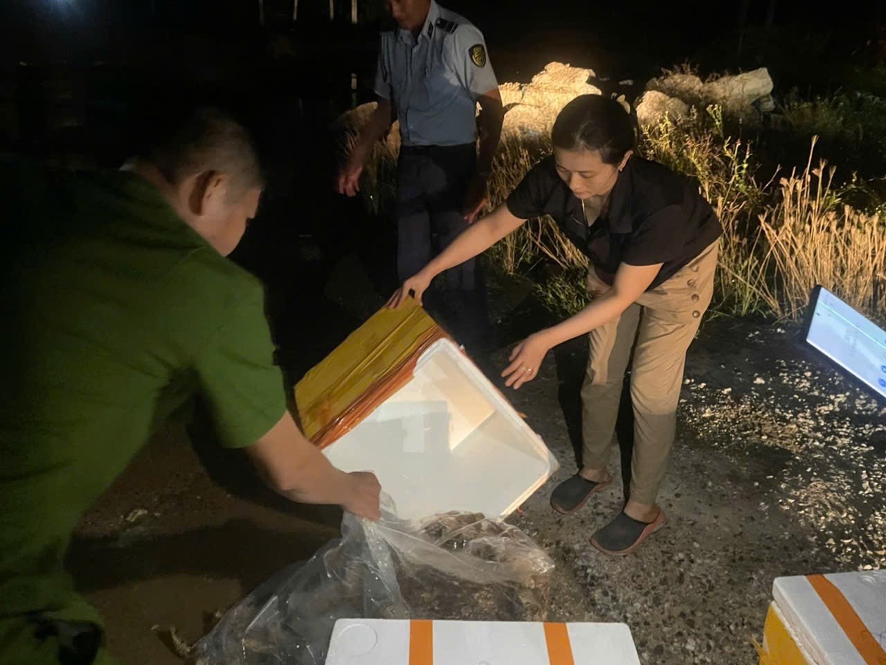 lực lượng chức năng đã tiến hành tạm giữ toàn bộ tang vật vi phạm - Ảnh: Chi cục QLTT Phú Yên