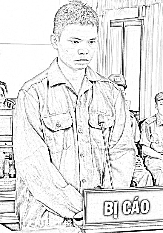 Đối tượng Mai Thiện Tâm tại phiên tòa. Ảnh: Vũ Văn