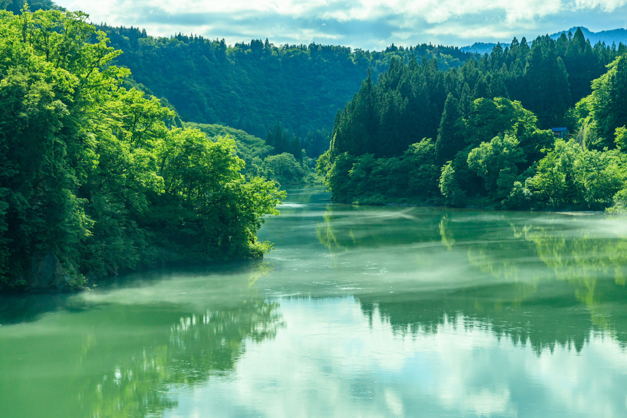 Vào mùa hè, sương mù nhẹ nhàng phủ lên những vách đá dựng đứng và dòng sông Tadami êm đềm, tạo nên khung cảnh như bước ra từ tranh thủy mặc. Ngồi trên chiếc thuyền gỗ trôi lặng lẽ, bạn sẽ được tận hưởng âm thanh rì rào của núi rừng và làn sương mát lành vờn qua mái tóc – một khoảnh khắc rất Nhật, rất tĩnh tại.
