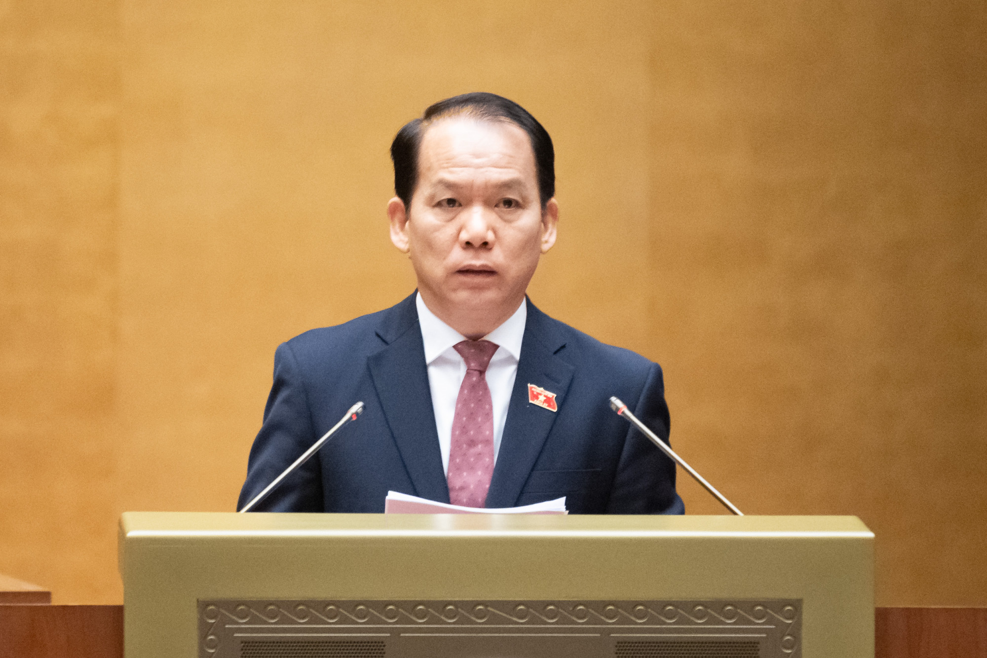 Chủ nhiệm Ủy ban Pháp luật và Tư pháp Hoàng Thanh Tùng - ảnh: QH