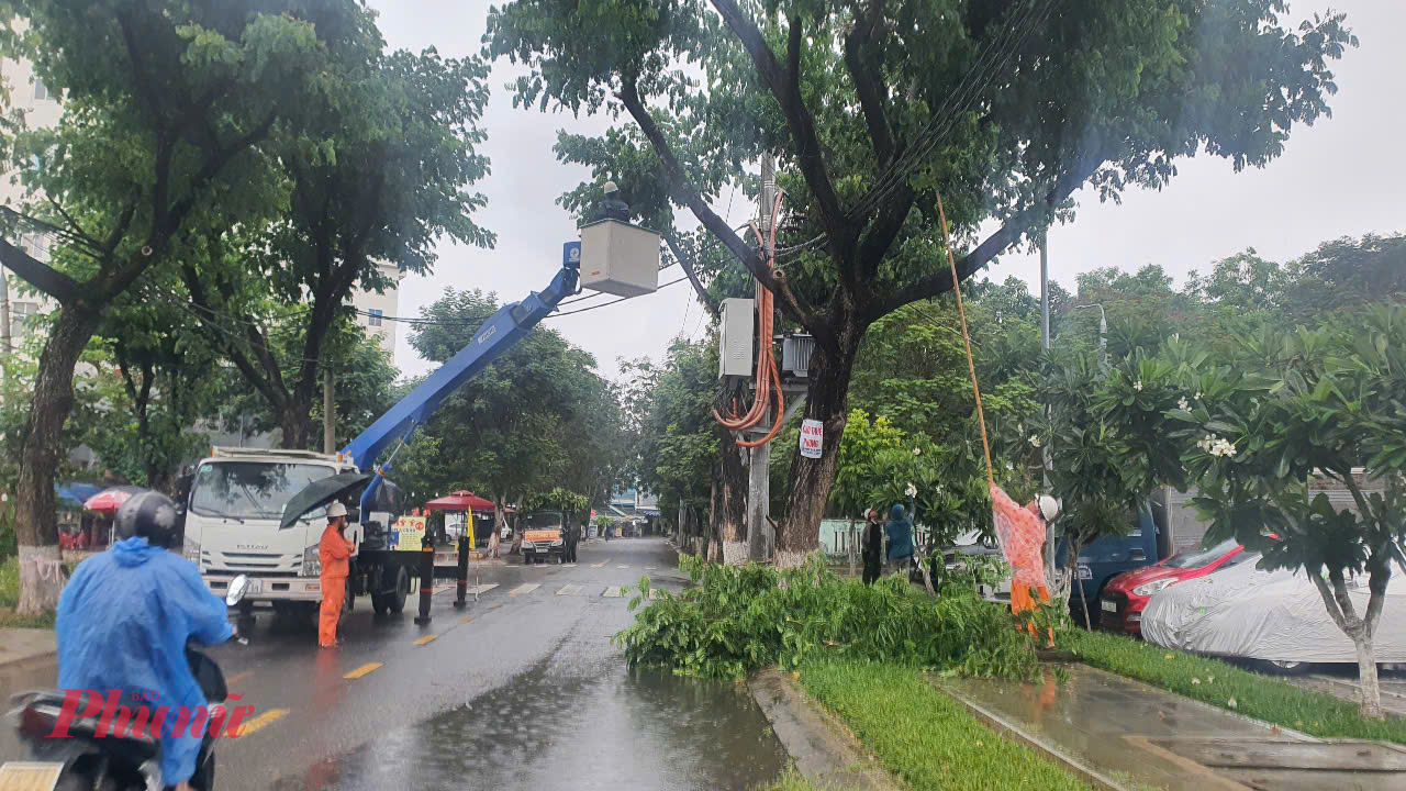 Công nhân điện lực cắt tỉa cây xanh đảm bảo an toàn lưới điện tại quận Cẩm Lệ 