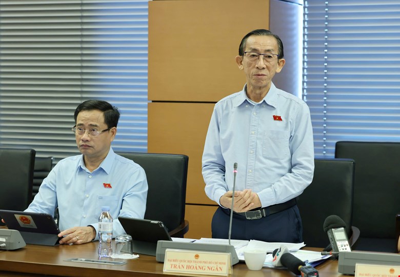 Đại biểu Quốc hội Trần Hoàng Ngân - ảnh: QH